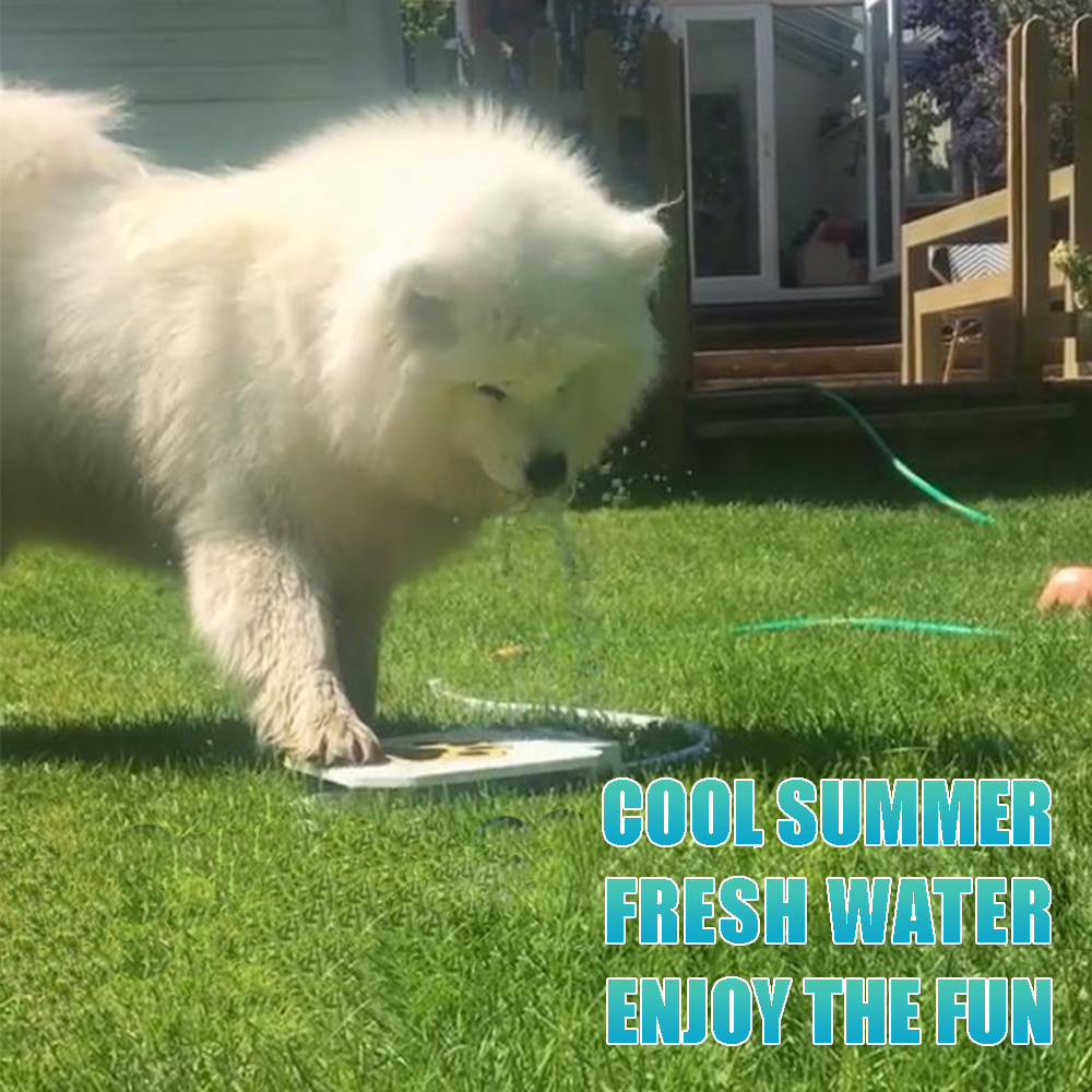 Pedal Activated Dog Fresh Water Fountain
