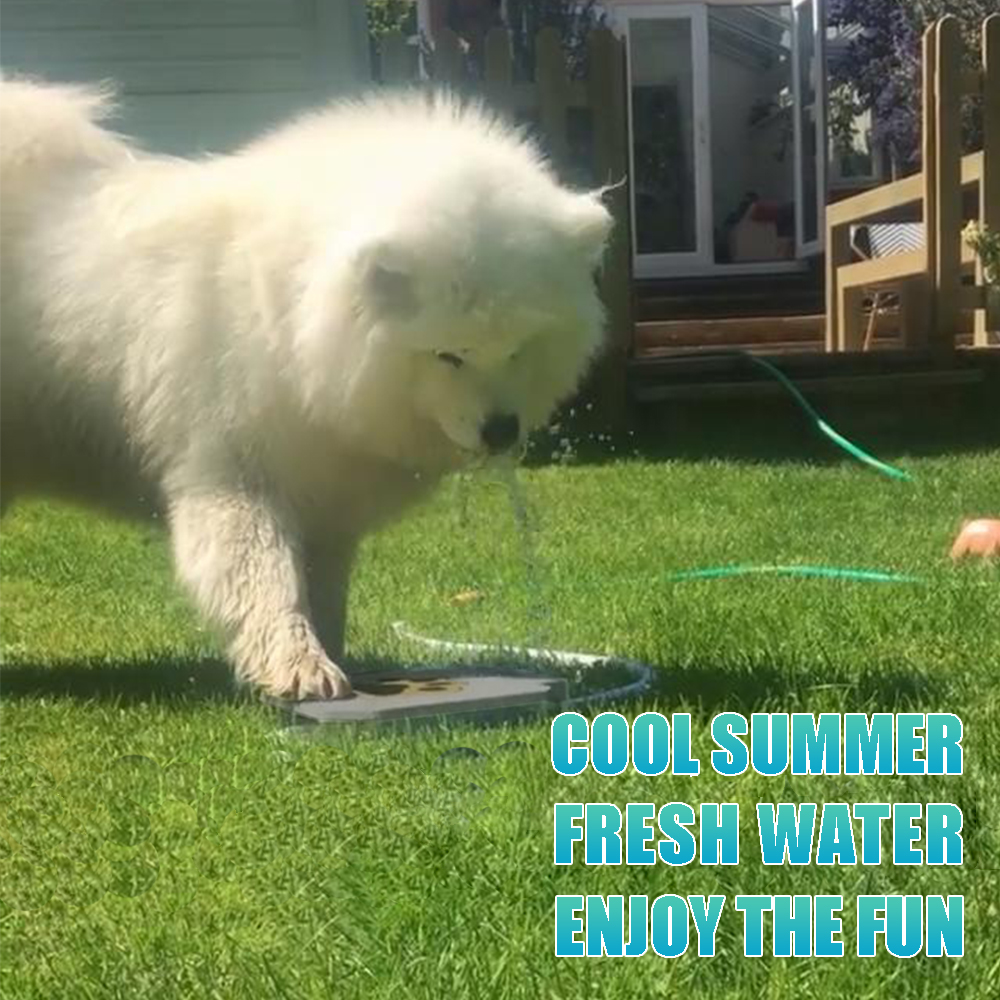 Stainless Steel Pedal Activated Dog Water Fountain