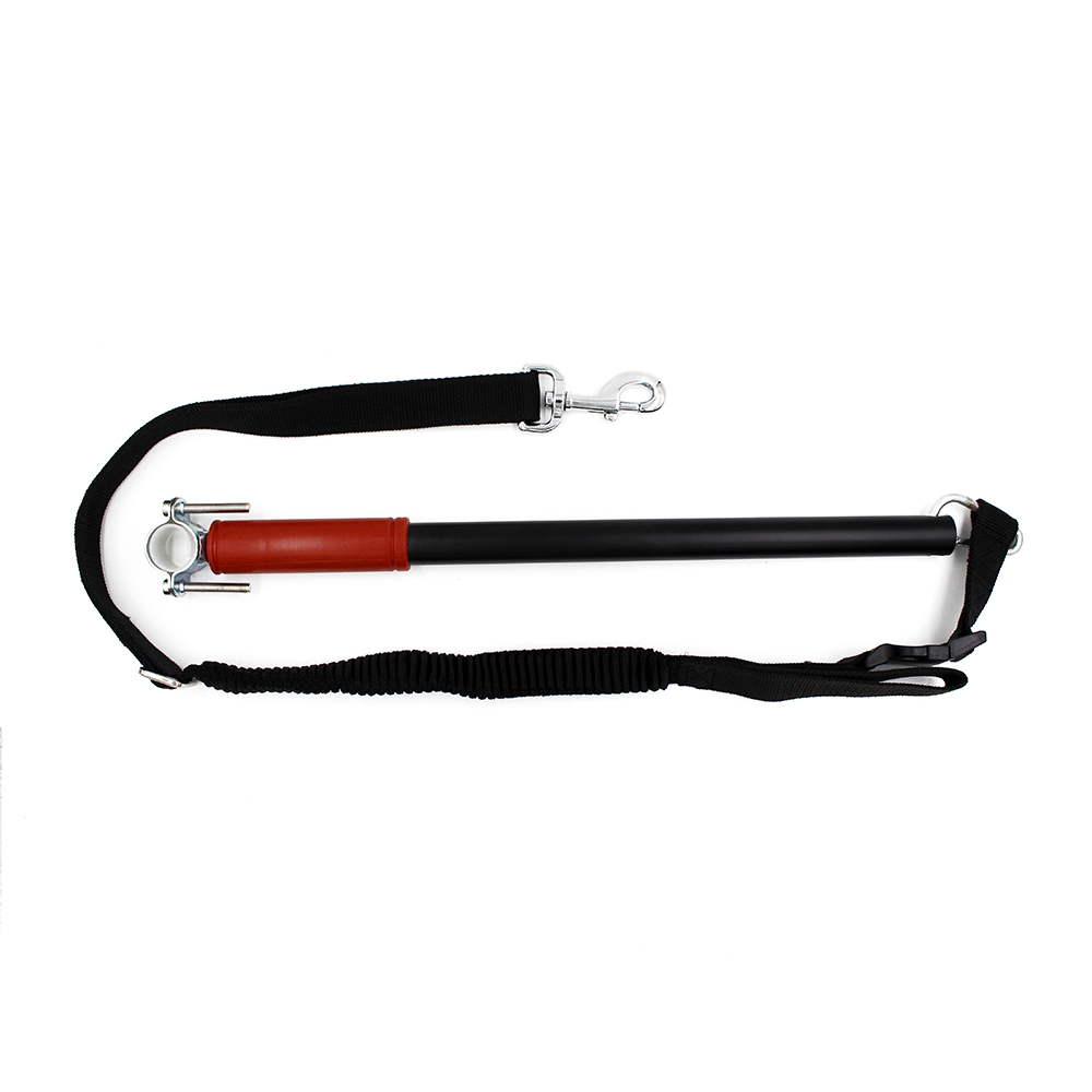Cheap Dog Bike Running Leash