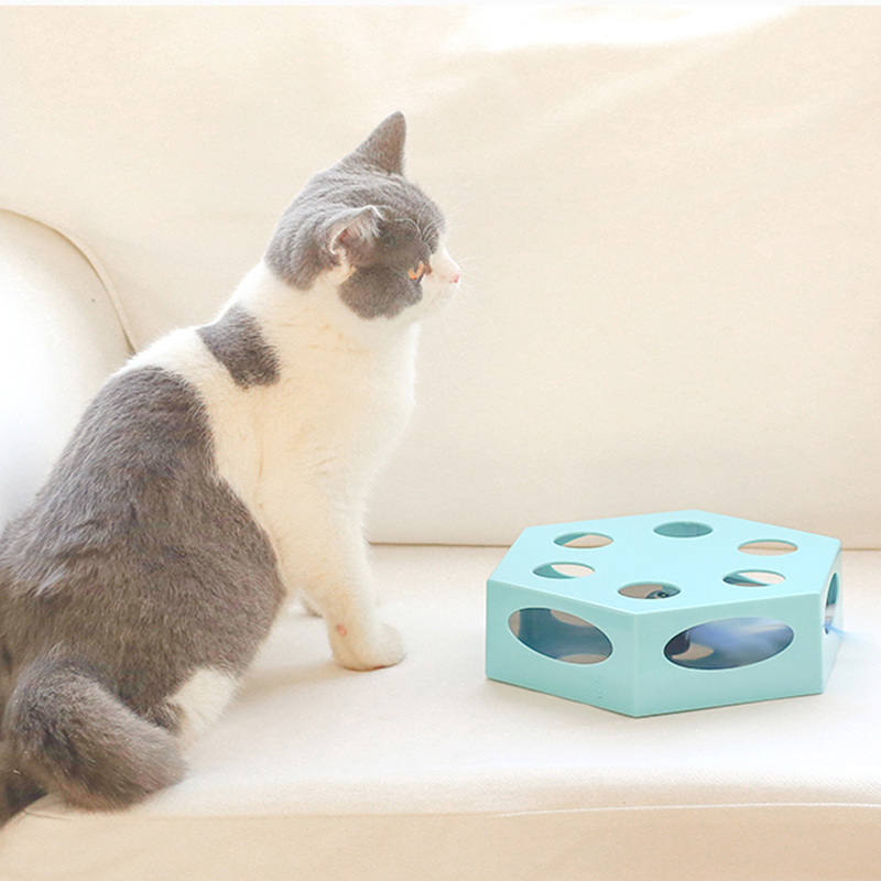 Electric Cat Trace Mouse Toy