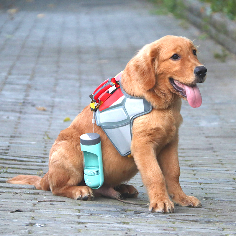 Leakproof Portable Pet Drinking Bottle